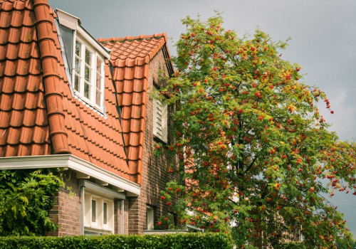 Dakkapelreiniging: waarom regelmatig schoonmaken belangrijk is