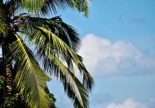 4 redenen om een vakantie te boeken in Suriname