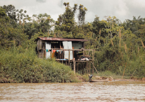 Wat kost de entry fee voor Suriname en hoe werkt het?