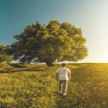 Waarom is stevig wandelen goed voor je gezondheid?