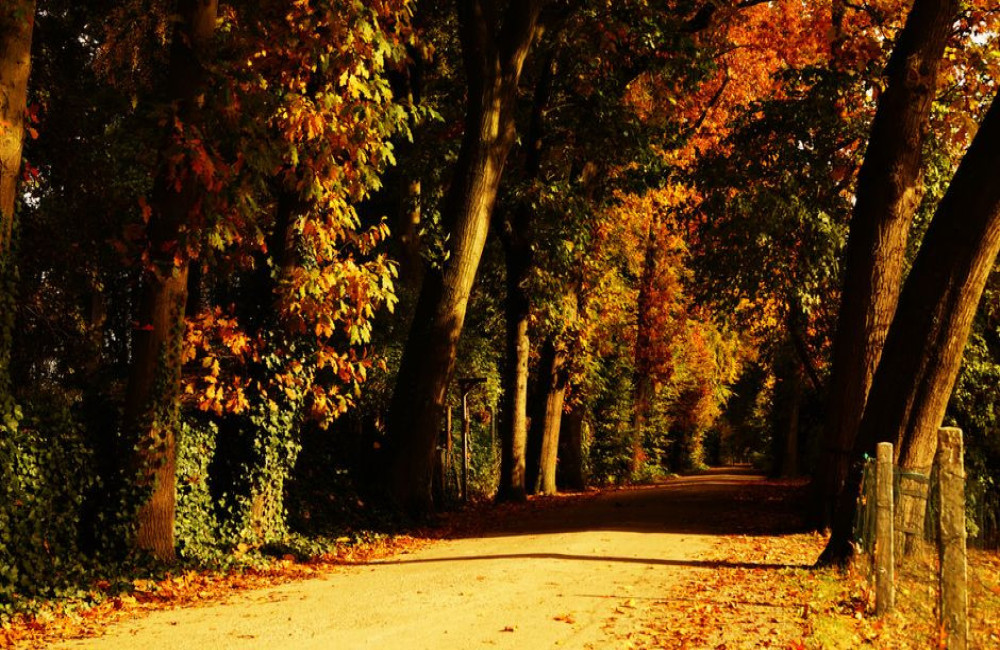 Screens in het najaar: zo houd je de lage herfstzon buiten