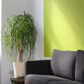 Creëer een stijlvol en functioneel interieur