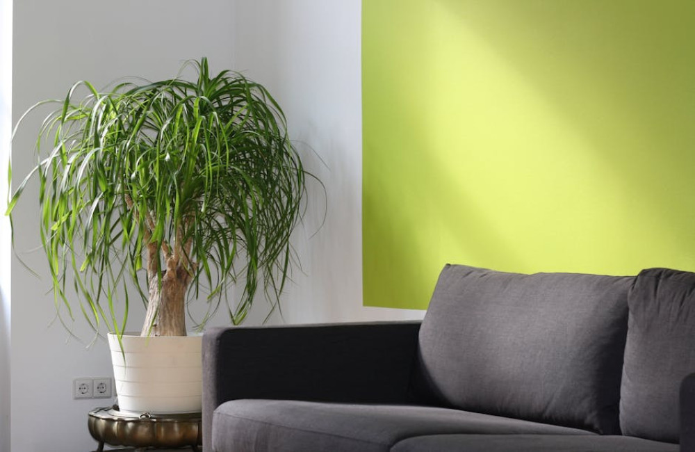 Creëer een stijlvol en functioneel interieur