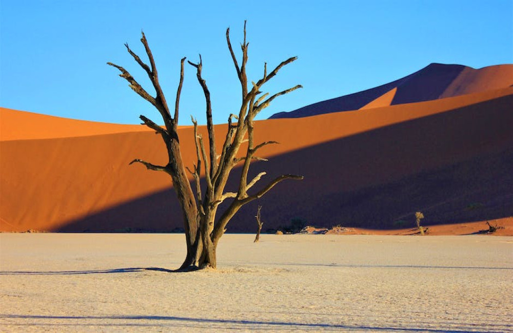 Een avontuurlijke self-drive vakantie in Namibië