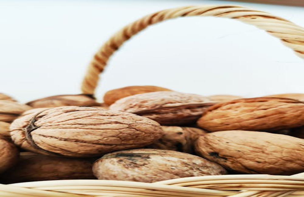 Wat is de werking van magnesium tegen stress en vermoeidheid?